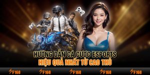 Hướng Dẫn Cá Cược Esports Hiệu Quả Nhất Từ Cao Thủ